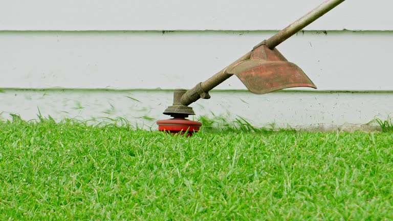Best Lawn Disease Treatment  in Montverde, FL